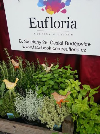 Tvořivá dílna Eufloria